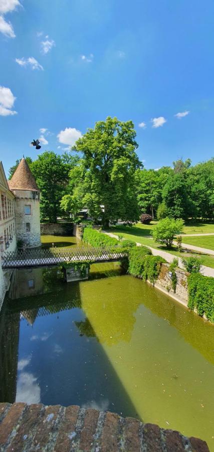 Chateau De La Cour Senlisse Esterno foto