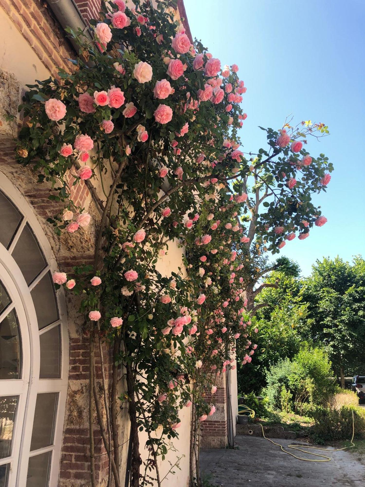 Chateau De La Cour Senlisse Esterno foto
